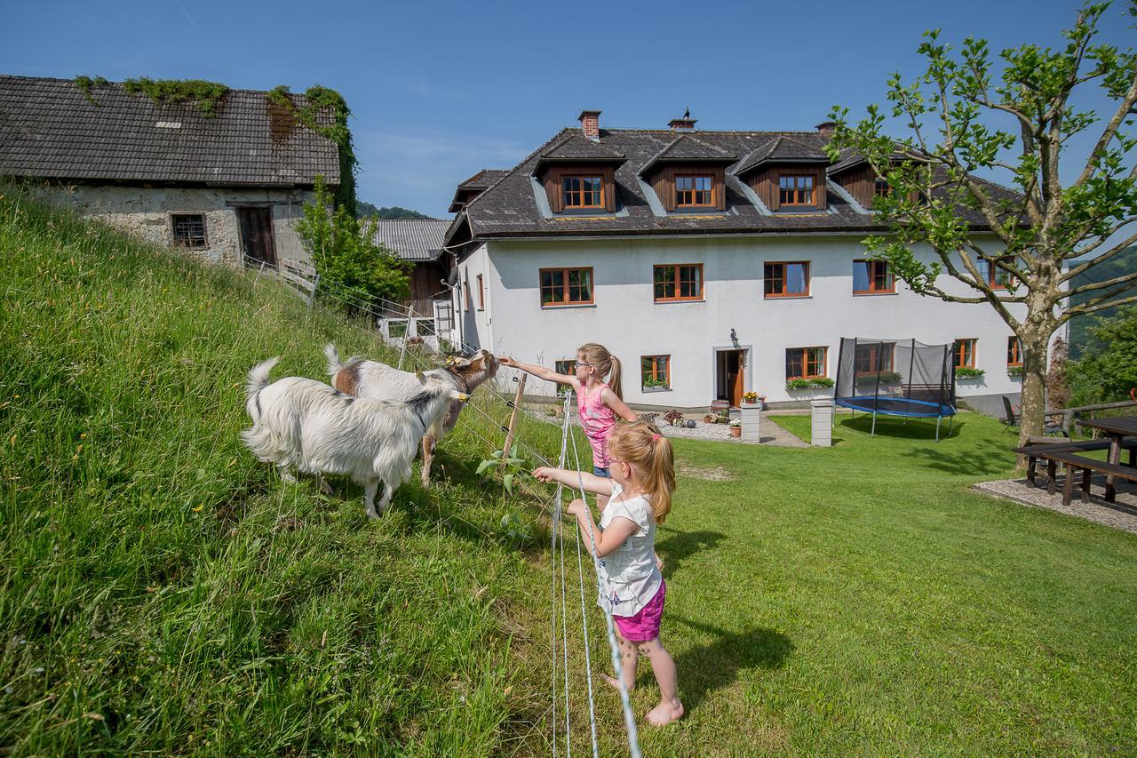 Kraeuterhof Miesrigl Villa Losenstein Exterior foto